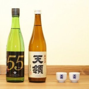 【ふるさと納税】【天領酒造】(純米酒天領・720ml×1本)(純米吟醸原酒ひだほまれ55・720ml×1本) (ミニ利き猪口×2個) お酒 日本酒 吟醸 純米酒 下呂温泉 おすすめ 蔵元 贈答品 贈り物 ギフト プレゼント お歳暮 お中元 父の日 母の日 敬老の日 成人の日 成人式