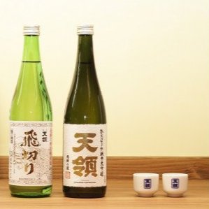 【ふるさと納税】 【天領酒造】「純米 飲みくらべ」Bセット（各 720ml×1本）ミニ利き猪口×2個 お酒 日本酒 大吟醸 純米酒 蔵元 下呂温泉 おすすめ 飛騨 贈答品 贈り物 ギフト プレゼント お歳暮 お中元 父の日 母の日 敬老の日 成人の日 成人式