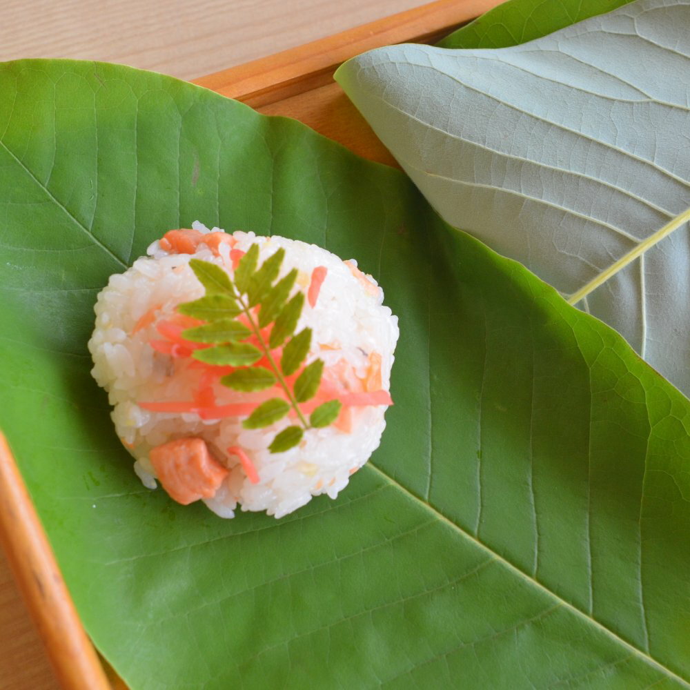 【ふるさと納税】【初夏の味 期間限定】さんまぜ工房「朴葉寿司」10個セット　馬瀬 郷土料理 ホオバほおば 下呂市 下呂温泉 季節限定のサムネイル