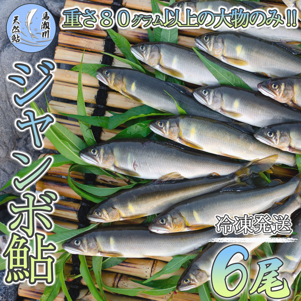 【ふるさと納税】【ジャンボ鮎】清流が育む天然の馬瀬川鮎 6尾（重さ80g以上） 冷凍　あゆ バーベキュー 馬瀬川 冷凍 下呂温泉 おすすめ アユ アウトドア 馬瀬 飛騨 下呂市