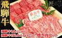 飛騨牛 【ふるさと納税】飛騨牛 もも・ばらカルビ 焼肉 牛肉セット 計850g 【冷凍】飛騨牛 もも ばらカルビ 各425g もも カルビ飛騨牛 下呂温泉 おすすめ 牛肉 肉 和牛 赤身 人気 ブランド牛 肉ギフト 国産 贈答品 焼肉用 焼肉 焼肉セット 焼き肉 ギフト 2種 和牛 32000円