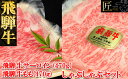 【ふるさと納税】 飛騨牛サーロイン・ももしゃぶしゃぶセット各470g 飛騨牛サーロイン470g 飛騨牛もも470g 【冷凍】 冷凍配送 940g 飛騨牛 下呂温...
