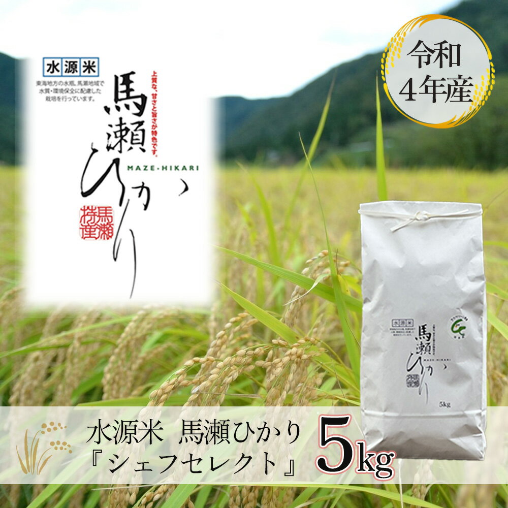 【ふるさと納税】【令和4年産米】水源米 馬瀬ひかり5kg『シェフセレクト』コシヒカリ 精米 2022年産 お米 まぜ 下呂温泉 米のサムネイル