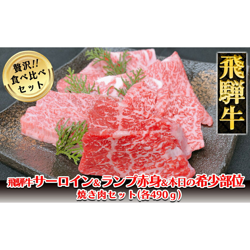 飛騨牛サーロイン・ランプ赤身・本日の希少部位焼肉セット各490g [冷凍]飛騨牛サーロイン490g 飛騨牛ランプ赤身490g 飛騨牛本日の希少部位490g 飛騨牛 下呂温泉 おすすめ 牛肉 ブランド牛 肉ギフト 国産 贈答品 焼肉用 焼肉 焼肉セット 焼き肉 ギフト