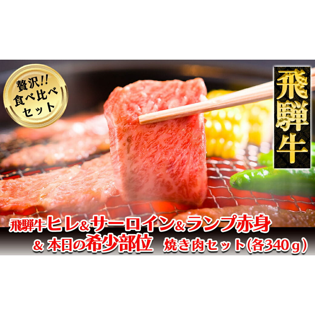 飛騨牛ヒレ・サーロイン・ランプ赤身・本日の希少部位焼肉セット各340g [冷凍] ヒレ 340g サーロイン 340g ランプ赤身 340g 本日の希少部位 340g 1360g 飛騨牛 下呂温泉 おすすめ 牛肉 ブランド牛 肉ギフト 国産 贈答品 焼肉 焼肉セット 焼き肉 ギフト