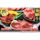 飛騨牛 【ふるさと納税】 飛騨牛肩ロース・赤身・本日の希少部位焼肉セット各470g　【冷凍】 飛騨牛肩ロース470g 飛騨牛赤身470g 飛騨牛本日の希少部位470g 1410g 飛騨牛 下呂温泉 おすすめ 牛肉 ブランド牛 肉ギフト 国産 贈答品 焼肉用 焼肉 焼肉セット 焼き肉 ギフト 72000円