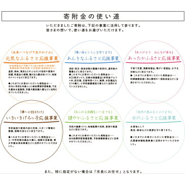 【ふるさと納税】1000円単位で応援〈岐阜県下呂市応援寄附 返礼品なし〉