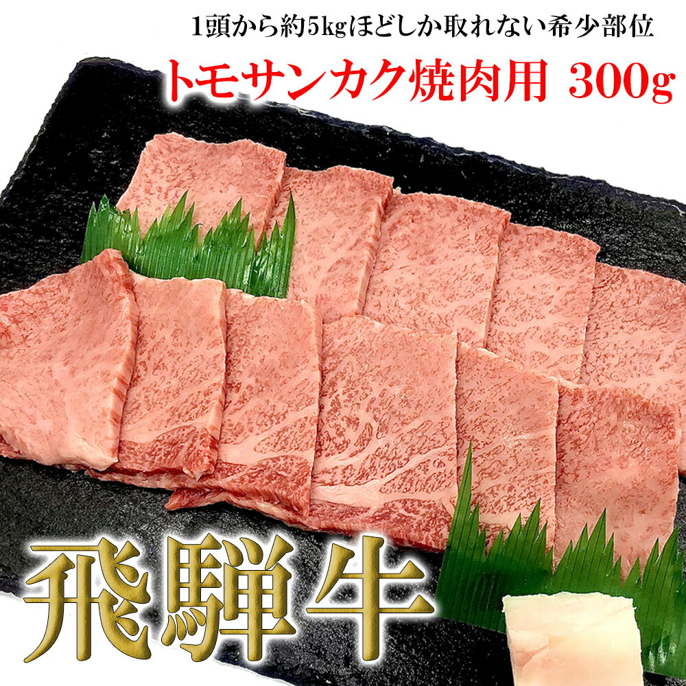 飛騨牛 【ふるさと納税】菊の井飛騨牛 トモサンカク焼肉 300g（2～3人前）飛騨牛 下呂温泉 おすすめ 牛肉 肉 和牛 赤身 人気 ブランド牛 肉ギフト 国産　贈答品 もも ギフト 焼肉　【冷凍】 15000円 岐阜県 下呂市