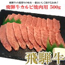 【ふるさと納税】【木箱入り】菊の井飛騨牛 カルビ焼肉 500g（4～5人前）飛騨牛 下呂温泉 おすすめ 牛肉 肉 和牛 赤身 人気 ブランド牛 肉ギフト 国産　贈答品 焼肉 やきにく ギフト カルビ　【冷凍】 19000円 岐阜県 下呂市