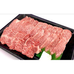 【ふるさと納税】菊の井 飛騨牛カルビ焼肉 500g（4〜5人前） 飛騨牛 下呂温泉 おすすめ 牛肉 ブランド牛 肉ギフト 国産　贈答品 焼肉 やきにく ギフト カルビ･･･ 画像1