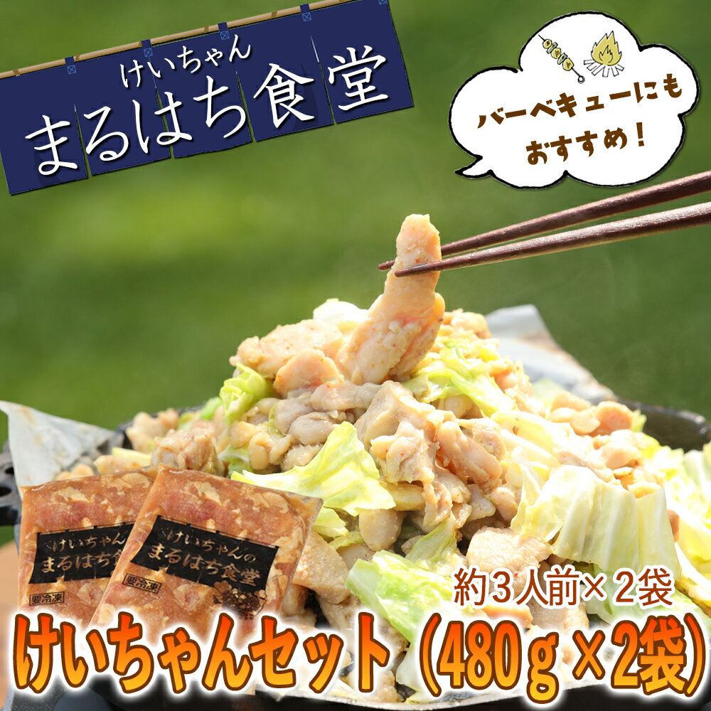 【ふるさと納税】鶏ちゃん発祥の名店「まるはち食堂」こだわり抜かれた下呂の味!!けいちゃん 480g×2(約6人前)冷凍 下呂温泉 鶏肉 B級グルメ 人気 ご飯のお供 バーベキュー アウトドア まるはち ケイちゃん 12000円 岐阜県 下呂市