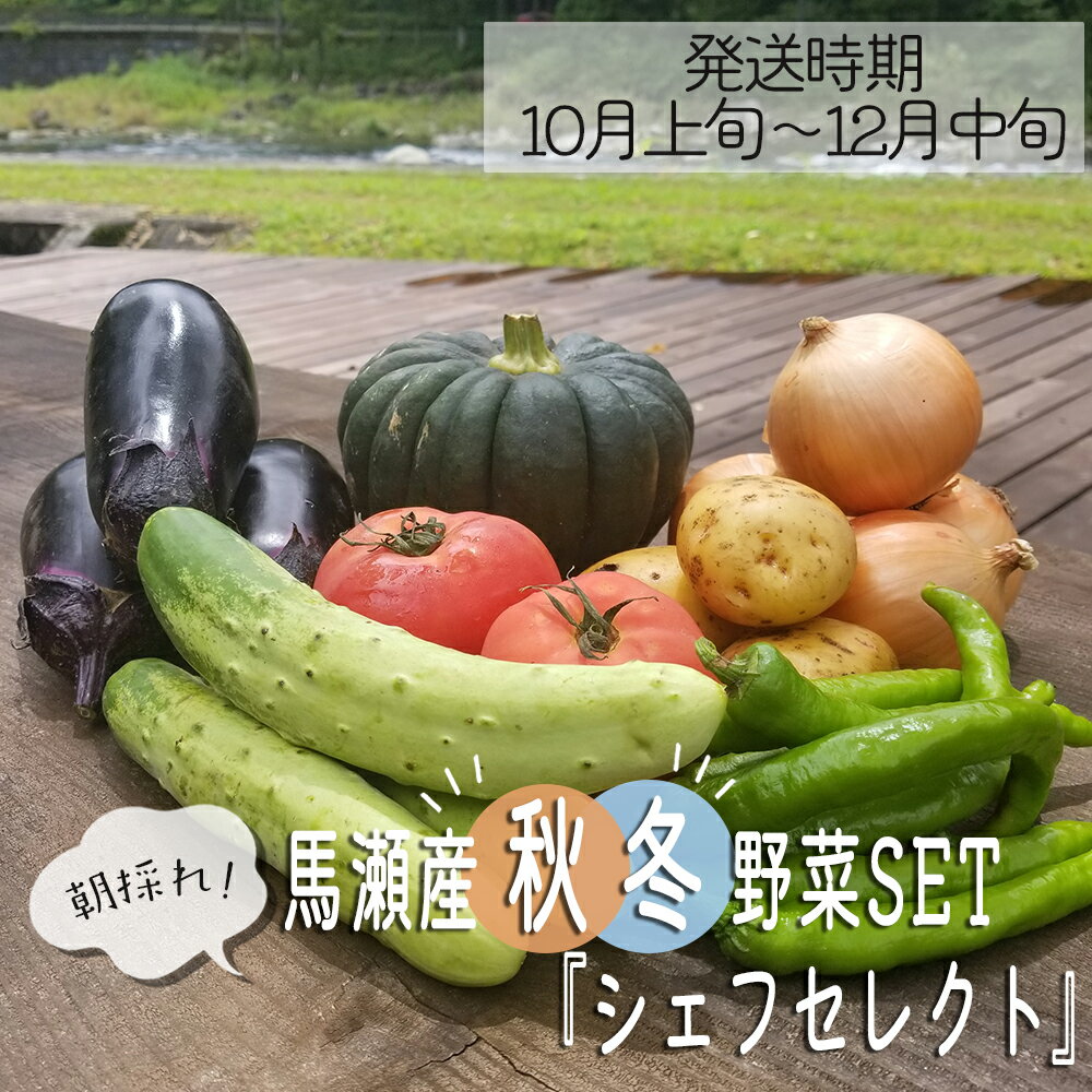 【ふるさと納税】（発送時期:10月上旬から12月中旬まで）朝採れ!! 秋冬野菜セット『シェフセレクト』産地直送 秋冬収穫 旬野菜 詰合せ 野菜 【日本で最も美しい村 馬瀬産】下呂温泉 10000円 1万円･･･