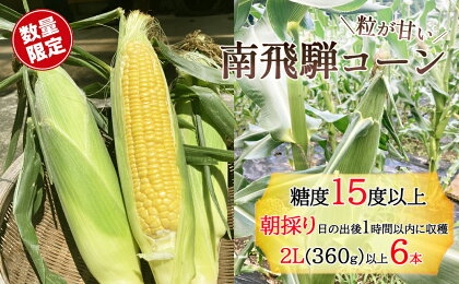 【数量・期間限定】南飛騨コーン 6本（糖度15%以上 360g以上） スイートコーン 朝採れ 新鮮 ゴールドラッシュ おおもの サマーハニー 甘い とうもろこし トウモロコシ 下呂温泉 下呂市 夏野菜 9000円