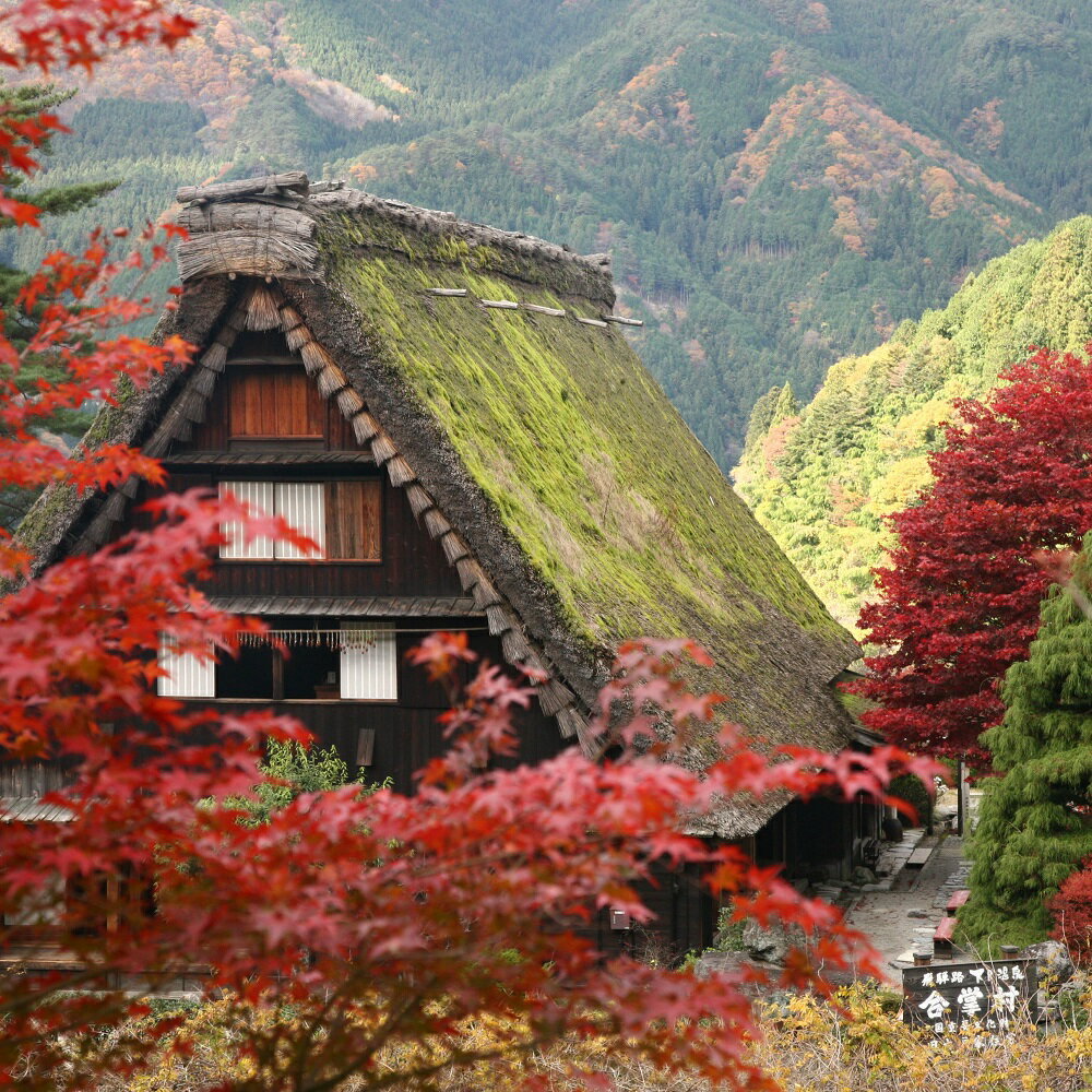 【ふるさと納税】下呂温泉合掌村入場券　2枚 (大人 2名様分)　観光施設 年中無休 合掌村 合掌造り チケット 陶芸体験 体験 足湯 5000円 岐阜県 下呂市