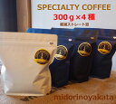 【ふるさと納税】緑の館/旬のスペシャルティコーヒー豆300g×4種アソート 珈琲 コーヒー 豆 ギフト 贈り物 自家焙煎 緑の館 34000円 岐阜県 下呂市