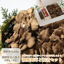 【ふるさと納税】飛騨舞茸と佃煮のセット　(飛騨舞茸 600g ・舞茸の佃煮 600g（100g×6袋） 舞茸 マイタケ まいたけ 下呂温泉 おすすめ きのこ 佃煮 惣菜 おかず TVで紹介された品 テレビで紹介 テレビで放送 9000円 岐阜県 下呂市