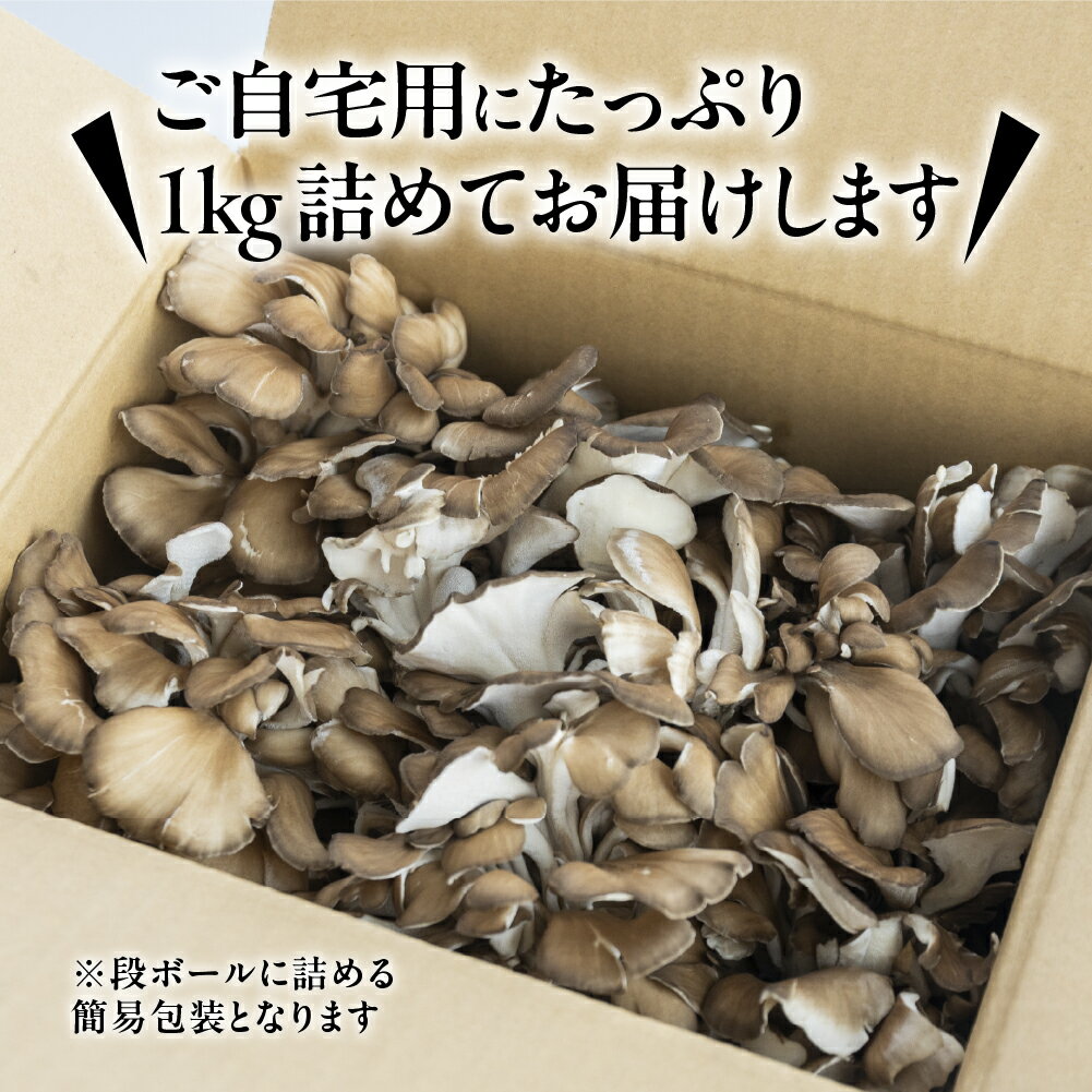 【ふるさと納税】飛騨舞茸 1kg 簡易包装 訳あり 黒舞茸 まいたけ 舞茸 高級 自宅用 大量 たっぷり 天ぷら 炒め物 低カロリー ヘルシー 7000円 マイタケ まいたけ キノコ 岐阜県 下呂市 きのこ 大容量
