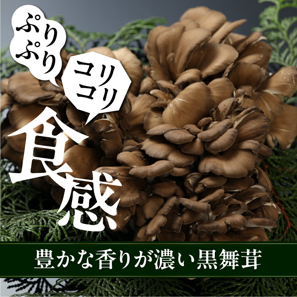 【ふるさと納税】飛騨舞茸 1kg 簡易包装 訳あり 黒舞茸 まいたけ 舞茸 高級 自宅用 大量 たっぷり 天ぷら 炒め物 低カロリー ヘルシー 7000円 マイタケ まいたけ キノコ 岐阜県 下呂市 きのこ 大容量
