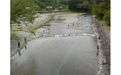 【ふるさと納税】 【令和4年】益田川雑魚年券 解禁日 3月1日（火） 渓流釣り 雑魚 年券 釣り 益田川 魚釣り アマゴ あまご 画像2