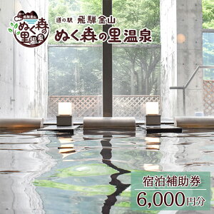 【ふるさと納税】下呂温泉【道の駅 飛騨金山ぬく森の里温泉】宿泊補助券(6,000円分) 宿泊券 温泉 旅行 下呂市 金山 岐阜 飛騨 おすすめ 宿泊券 クーポン 旅行 観光 出張 旅館 温泉旅館 ホテル 温泉 贈り物 贈答 ギフト 夫婦 家族旅行 卒業旅行 1泊2食付き 2名 など
