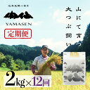 【ふるさと納税】令和7年産米【定期便】山仙(いのちの壱) 2kg × 12回 山仙組合(有限会社 すがらたいす) 下呂市 金山産 24キロ 米 2025年産 お...