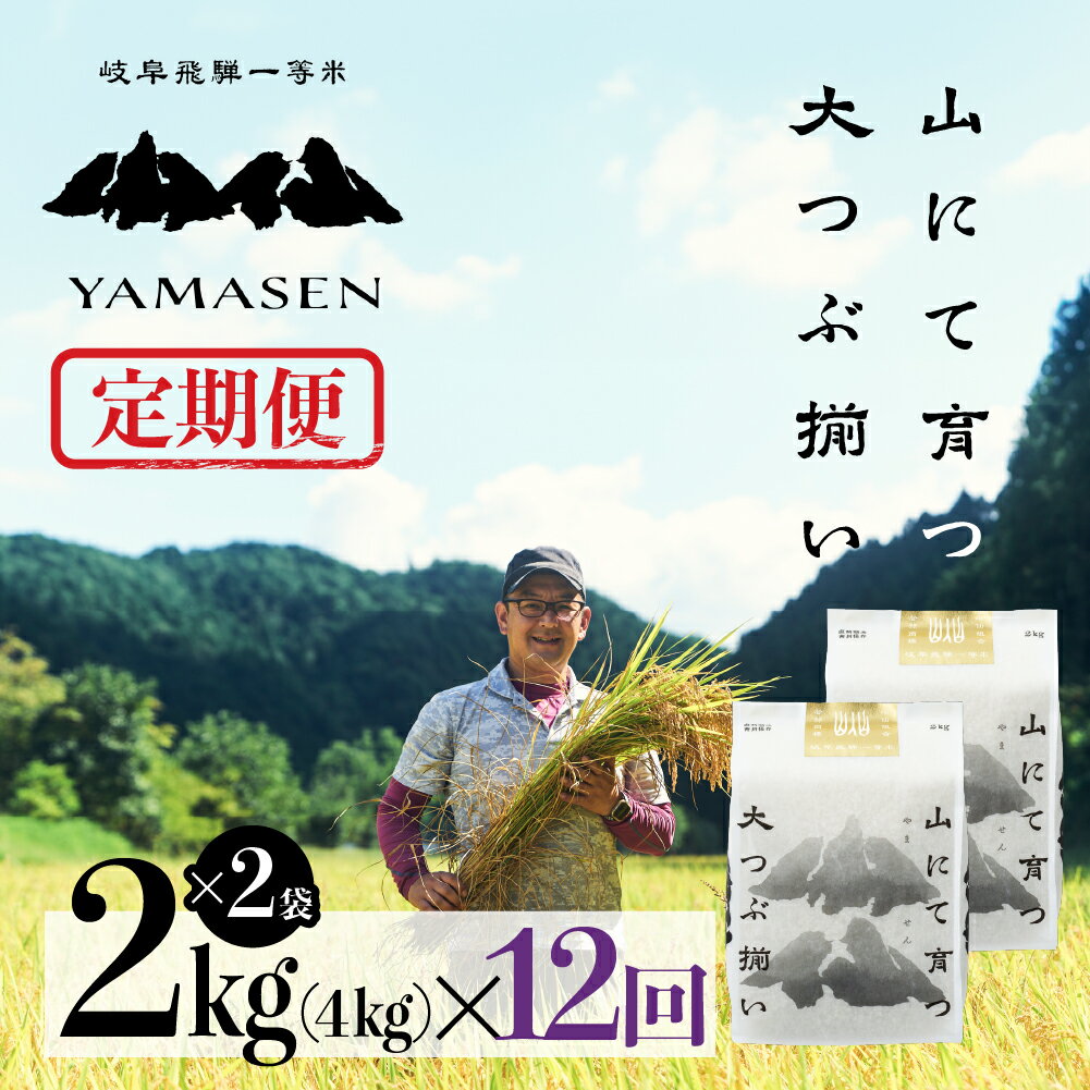 【ふるさと納税】 令和6年産米【定期便】山仙（いのちの壱） 2kg × 2袋（4kg）× 12回 山仙組合（有限会社 すがらたいす） 下呂市 金山産 48キロ 米 2024年産 お米 精米 白米 いのちのいち やません ご飯 ごはん 農家直送 送料無料 230000円
