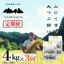 【ふるさと納税】令和6年産米 令和7年産【定期便】山仙(いのちの壱) 毎月 2kg × 2(4kg)× 3ヵ月 (定期お届け) 山仙組合(有限会社 すがらたいす...