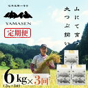 【ふるさと納税】 令和6年産米【定期便】山仙(いのちの壱) 6kg × 3回 ((2kg×3袋)×3回)山仙組合(有限会社 すがらたいす) 下呂市 金山産 18...