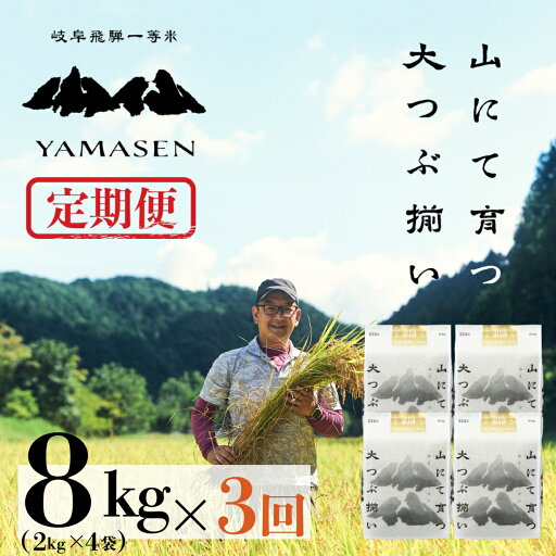 【ふるさと納税】 新米予約【定期便】山仙(いのちの壱) 8kg (2kg × 4袋) × 3回 山仙組合(有限会社 すがらたいす) 下呂市 金山産 24キロ 米 2025年産 お米 精米 白米 ご飯 ごはん 農家直送 送料無料 新米 令和7年 令和7年産 2025年産 新米予約 先行予約 【ふるさと納税】 新米予約【定期便】山仙(いのちの壱) 8kg (2kg × 4袋) × 3回 山仙組合(有限会社 すがらたいす) 下呂市 金山産 24キロ 米 2025年産 お米 精米 白米 ご飯 ごはん 農家直送 送料無料 新米 令和7年 令和7年産 2025年産 新米予約 先行予約