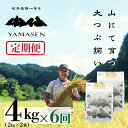 【ふるさと納税】 令和6年産米 令和7年産【定期便】山仙(いのちの壱) 4kg (2kg×2) ×6回 山仙組合(有限会社 すがらたいす) 下呂市 金山産 24...