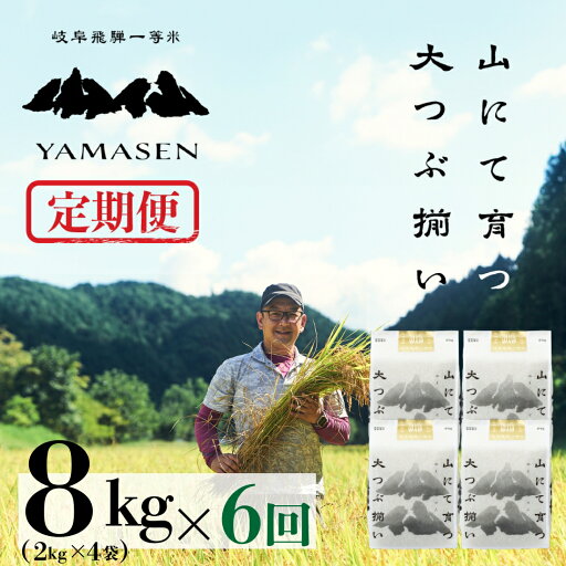 【ふるさと納税】 令和7年産米【定期便】山仙(いのちの壱)8kg (2kg×4袋) × 6回 山仙組合(有限会社 すがらたいす) 下呂市 金山産 48キロ 米 2025年産 お米 精米 白米 いのちのいち やません ご飯 ごはん 農家直送 送料無料 新米 新米予約 農家直送 【ふるさと納税】 令和7年産米【定期便】山仙(いのちの壱)8kg (2kg×4袋) × 6回 山仙組合(有限会社 すがらたいす) 下呂市 金山産 48キロ 米 2025年産 お米 精米 白米 いのちのいち やません ご飯 ごはん 農家直送 送料無料 新米 新米予約 農家直送