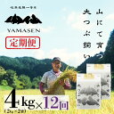 【ふるさと納税】 新米予約 【定期便】山仙(いのちの壱) 4kg (2kg×2袋) × 12回 山仙組合(有限会社 すがらたいす) 下呂市 金山産 48キロ 米...
