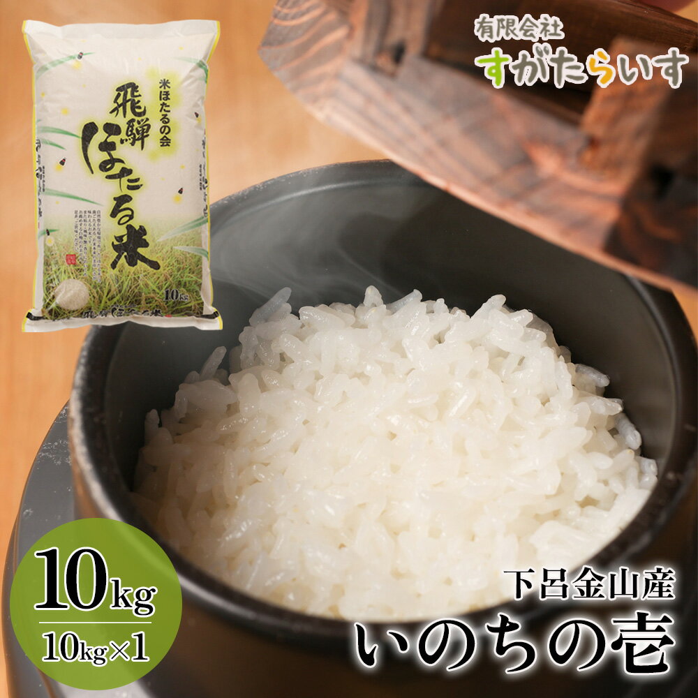 [令和5年産米]いのちの壱 10kg すがたらいす 2023年産 お米 米 精米 金山産 40000円 岐阜県 下呂市