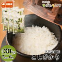 【ふるさと納税】新米予約受付【令和7年産米】【定期便】こしひかり 5kg×6回 すがたらいす 下呂市金山産 2025年産 毎月 お米 米 精米 コシヒカリ 下呂温泉 下呂市 毎月 定期
