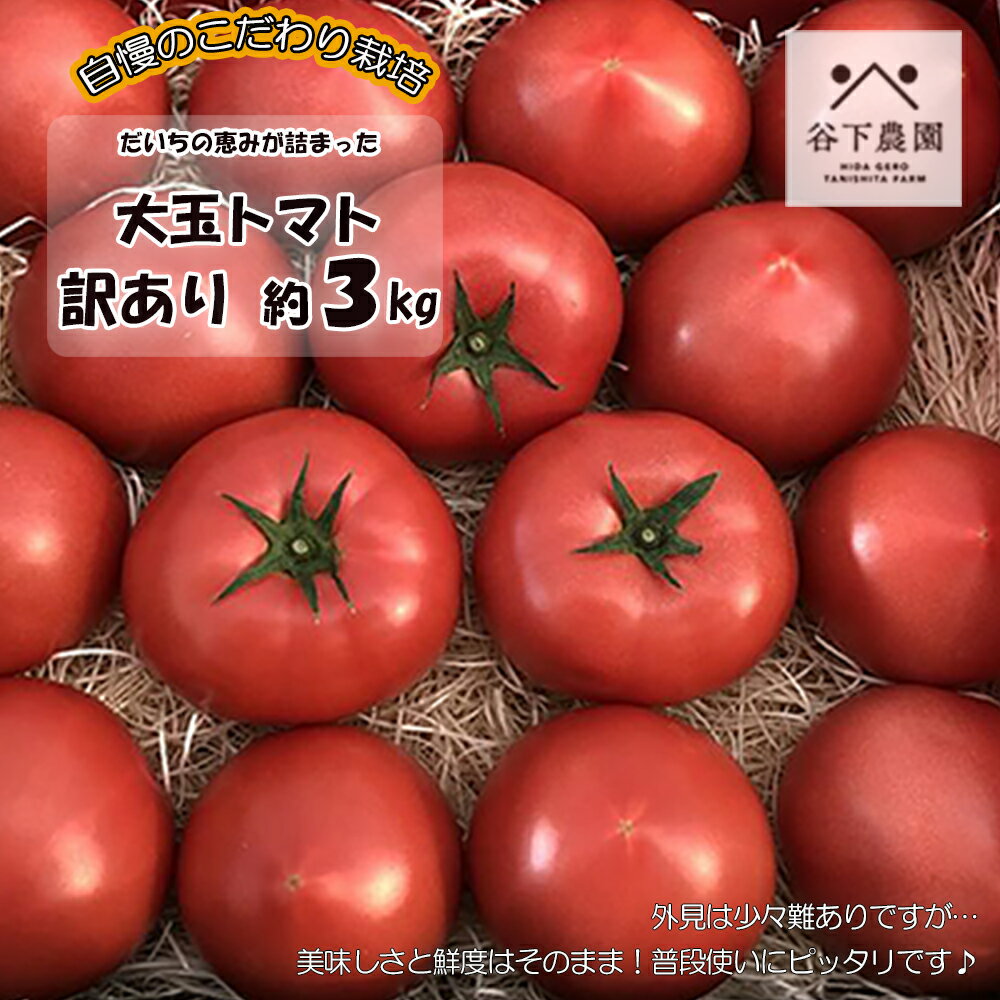 【ふるさと納税】【2024年分 先行予約】訳アリ 約 3kg 大地の恵みがぎゅーっと詰まった果肉が厚い大玉...