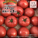 22位! 口コミ数「3件」評価「4.33」【2024年分 先行予約】訳アリ 約 3kg 大地の恵みがぎゅーっと詰まった果肉が厚い大玉トマト 麗月 レイゲツ れいげつ とまと 訳あり ･･･ 