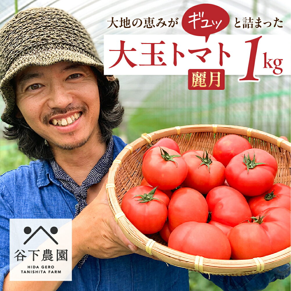 野菜・きのこ(トマト)人気ランク14位　口コミ数「0件」評価「0」「【ふるさと納税】先行受付【期間限定】地元の人気者！大地の恵みがぎゅーっと詰まった果肉が厚い 大玉トマト約 1kg（サイズ混合）《飛騨下呂産》麗月 とまと 産地直送 【谷下農園】 5000円 岐阜県 下呂市」