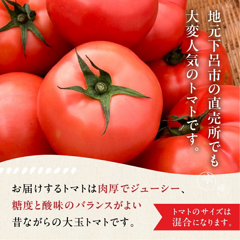 【ふるさと納税】先行受付【期間限定】地元の人気者！大地の恵みがぎゅーっと詰まった果肉が厚い 大玉トマト約 1kg（サイズ混合）《飛騨下呂産》麗月 とまと 産地直送 【谷下農園】 5000円 岐阜県 下呂市