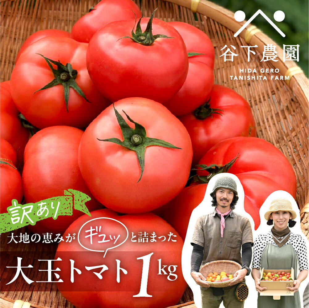 [2024年分 先行予約]訳アリ 約 1kg 大地の恵みがぎゅーっと詰まった果肉が厚い大玉トマト 麗月 レイゲツ れいげつ とまと 訳あり 下呂温泉 特産品 4000円 岐阜県 下呂市