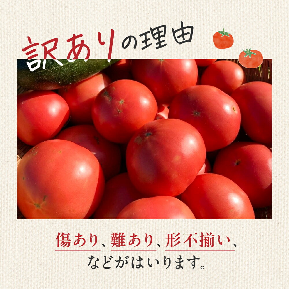 【ふるさと納税】【2024年分 先行予約】訳アリ 約 1kg 大地の恵みがぎゅーっと詰まった果肉が厚い大玉トマト 麗月 レイゲツ れいげつ とまと 訳あり 下呂温泉 特産品 4000円 岐阜県 下呂市