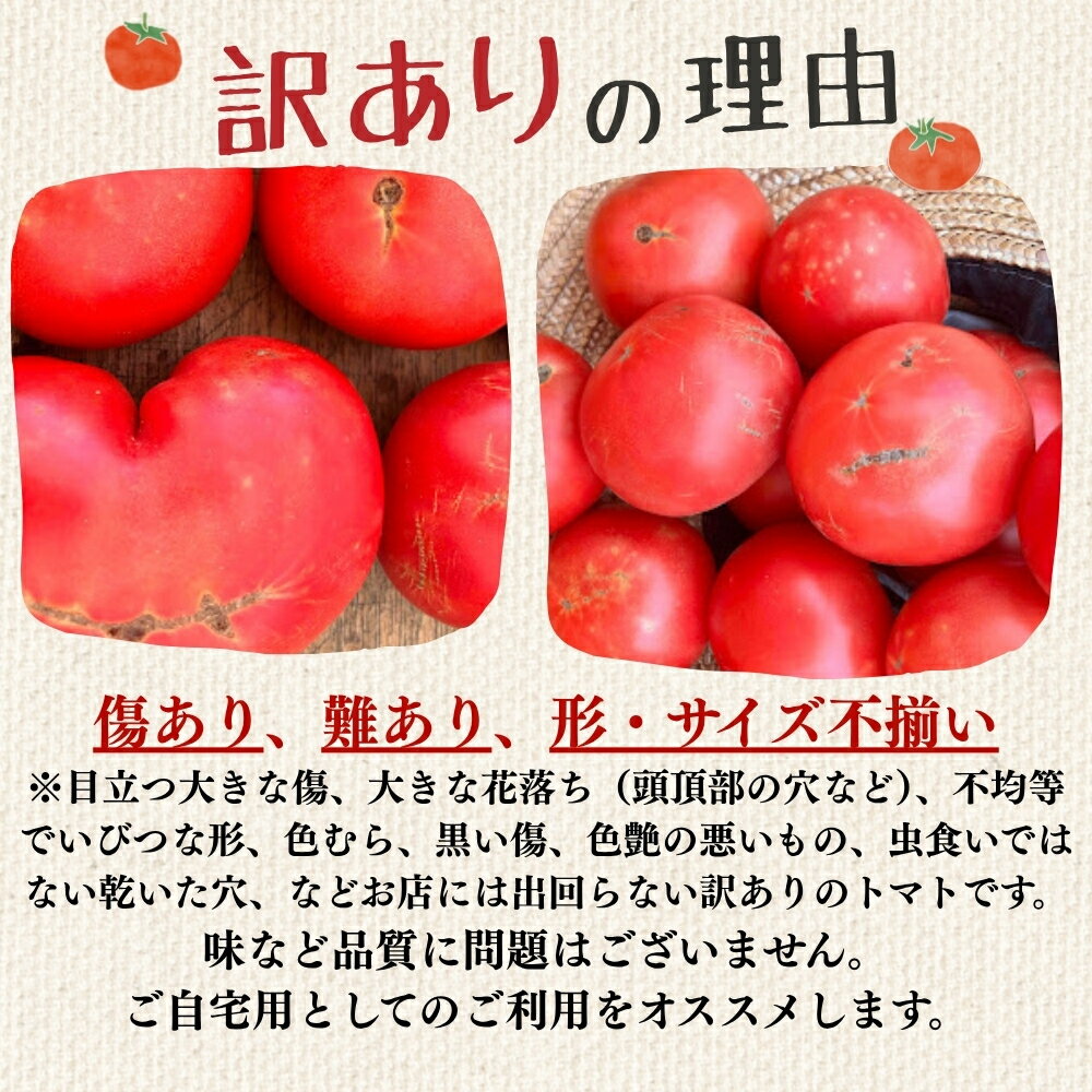 岐阜県下呂市の画像2