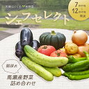 【ふるさと納税】\産地直送/朝採れ!! 旬の野菜SET 『シェフセレクト』8~10品目(発送時期:2025年7月中旬から12月中旬まで) 旬 期間限定 収穫 旬野菜 詰合せ 野菜 セット 【日本で最も美しい村 馬瀬産】下呂温泉