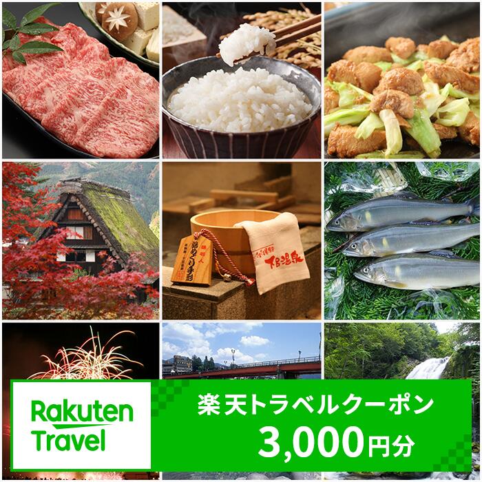 【ふるさと納税】岐阜県の対象施設で使える楽天トラベルクーポン 寄附額10,000円 ポイント還元 楽天限...