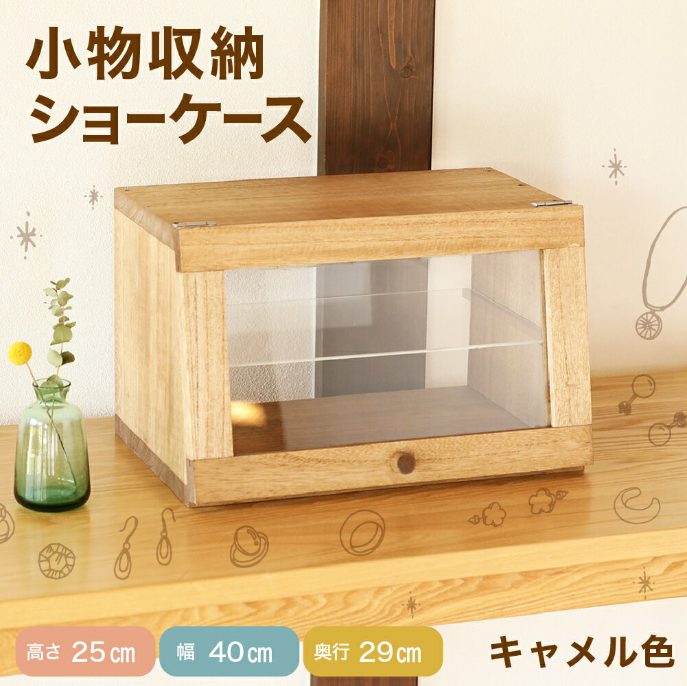 ショーケース 高さ25cm 幅40cm 奥行29cm アクリル 桐材 インテリア アクセサリーケース 展示棚 木製 小物入れ 飾り棚 一点物 下呂温泉 キャメル 棚 30000円 岐阜県 下呂市
