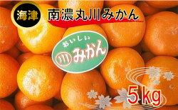 【ふるさと納税】南濃丸川みかん 5kg　【果物類・みかん・柑橘類・ミカン・くだもの・フルーツ】　お届け：2021年12月下旬〜2022年4月上旬 画像1