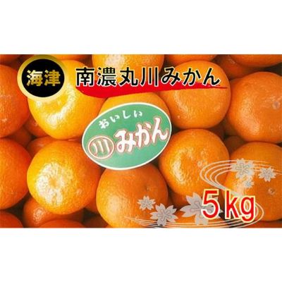 【ふるさと納税】南濃丸川みかん 5kg　【果物類・みかん・柑橘類・ミカン・くだもの・フルーツ】　お届け：2023年11月～2024年2月下旬まで