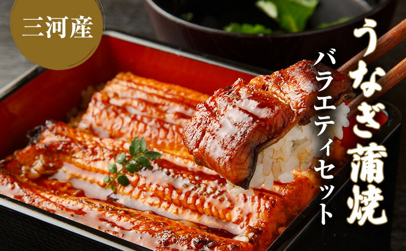 【ふるさと納税】うなぎ蒲焼バラエティセット（三河産）　【魚貝類・うなぎ・ウナギ・鰻】 2