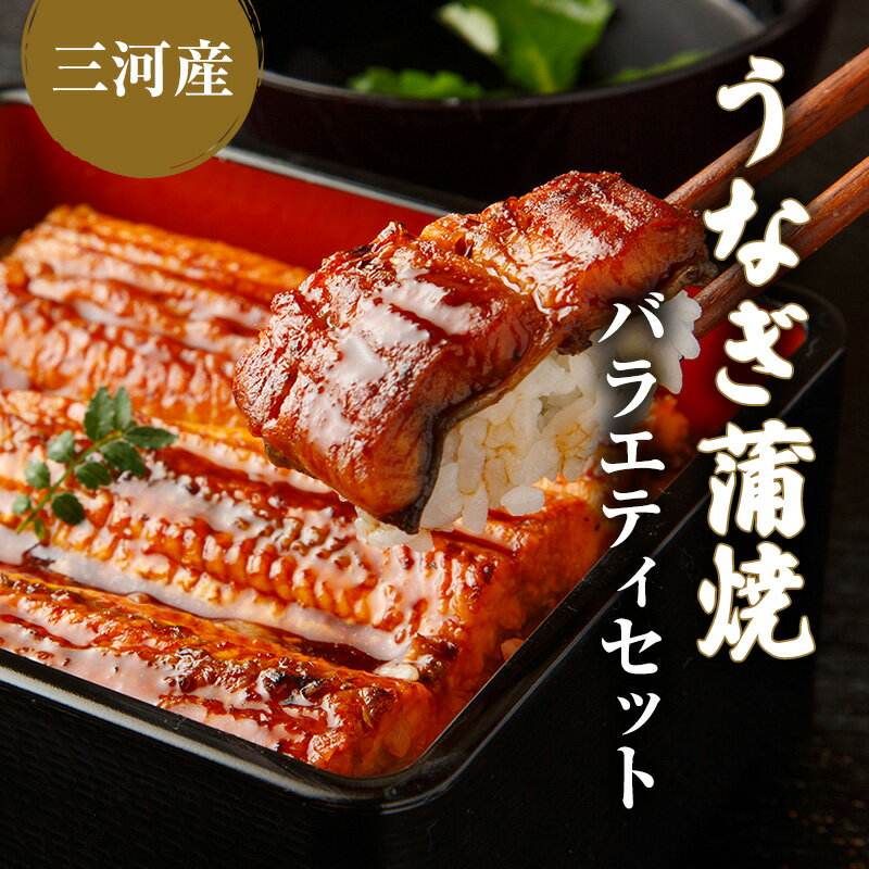 【ふるさと納税】うなぎ蒲焼バラエティセット（三河産）　【魚貝類・うなぎ・ウナギ・鰻】 1