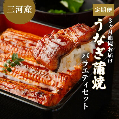 うなぎ蒲焼バラエティセット（三河産）【3ケ月連続お届け】　【定期便・魚貝類・うなぎ・ウナギ・鰻】