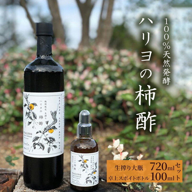 【ふるさと納税】ハリヨの柿酢生搾り 720＆100 【調味料】